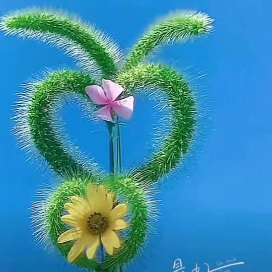 ❤已被伤透