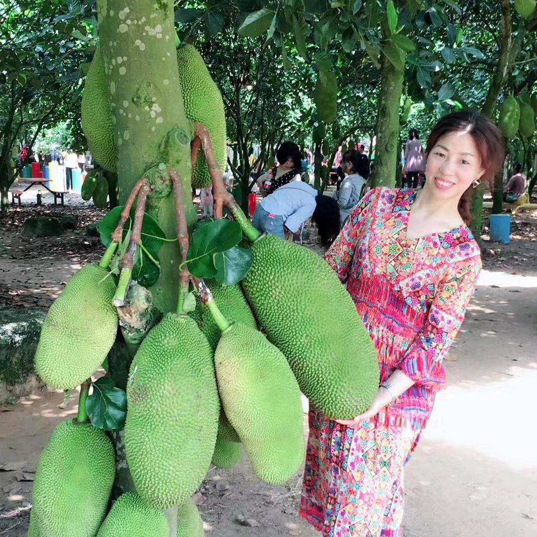 五妹