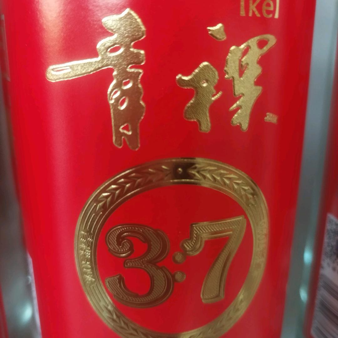 青稞55