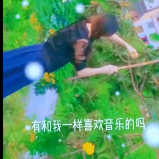 我只在乎你
