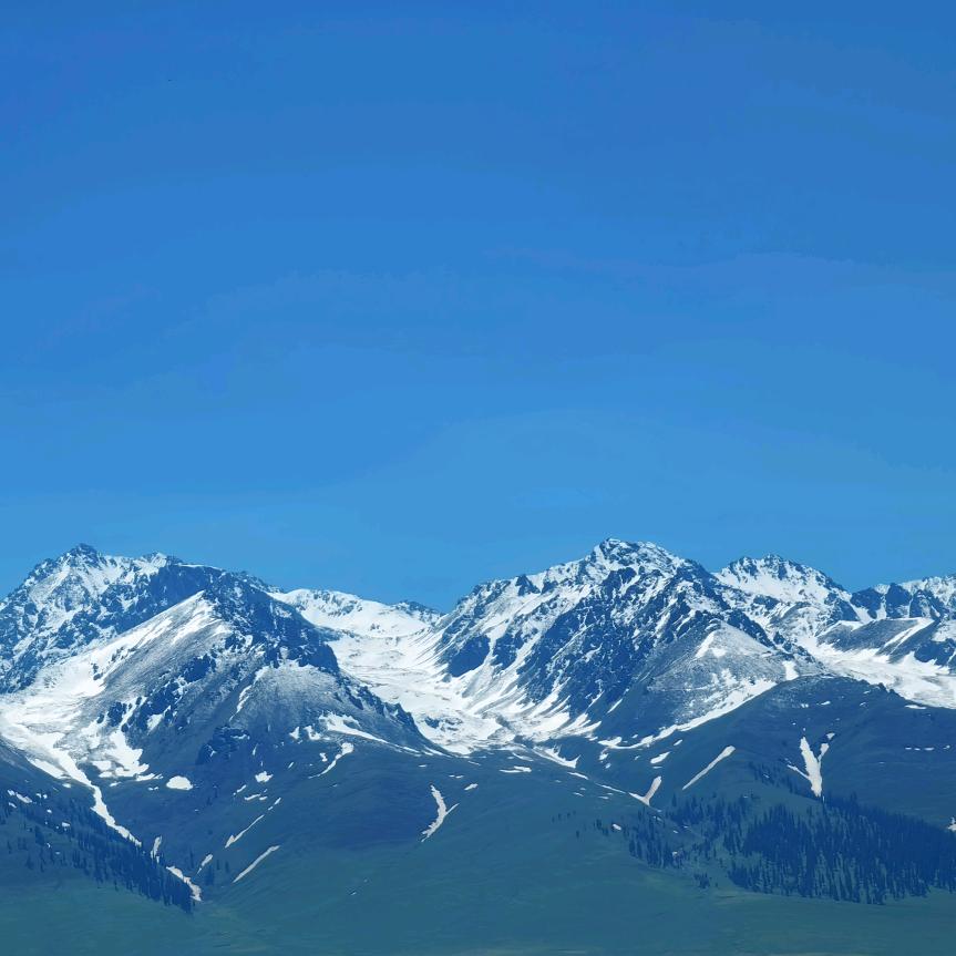 广州保利陈小米