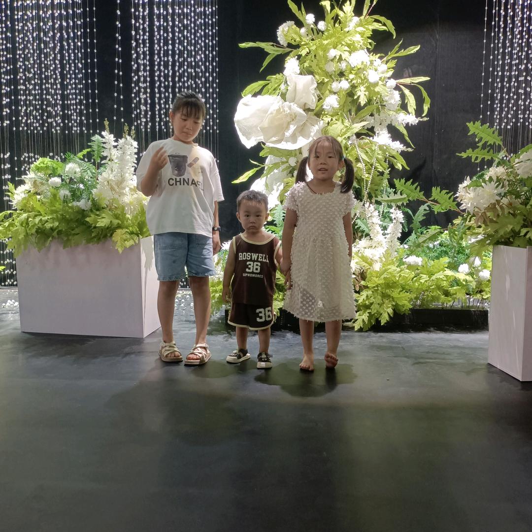 芙蓉出水