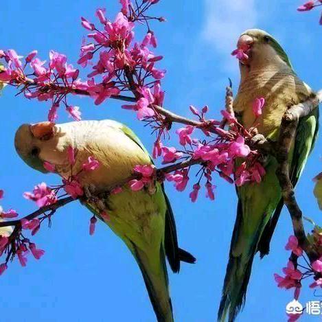 ও🕊ꦿꦼ生活᭄之美꧔ꦿ࿐้