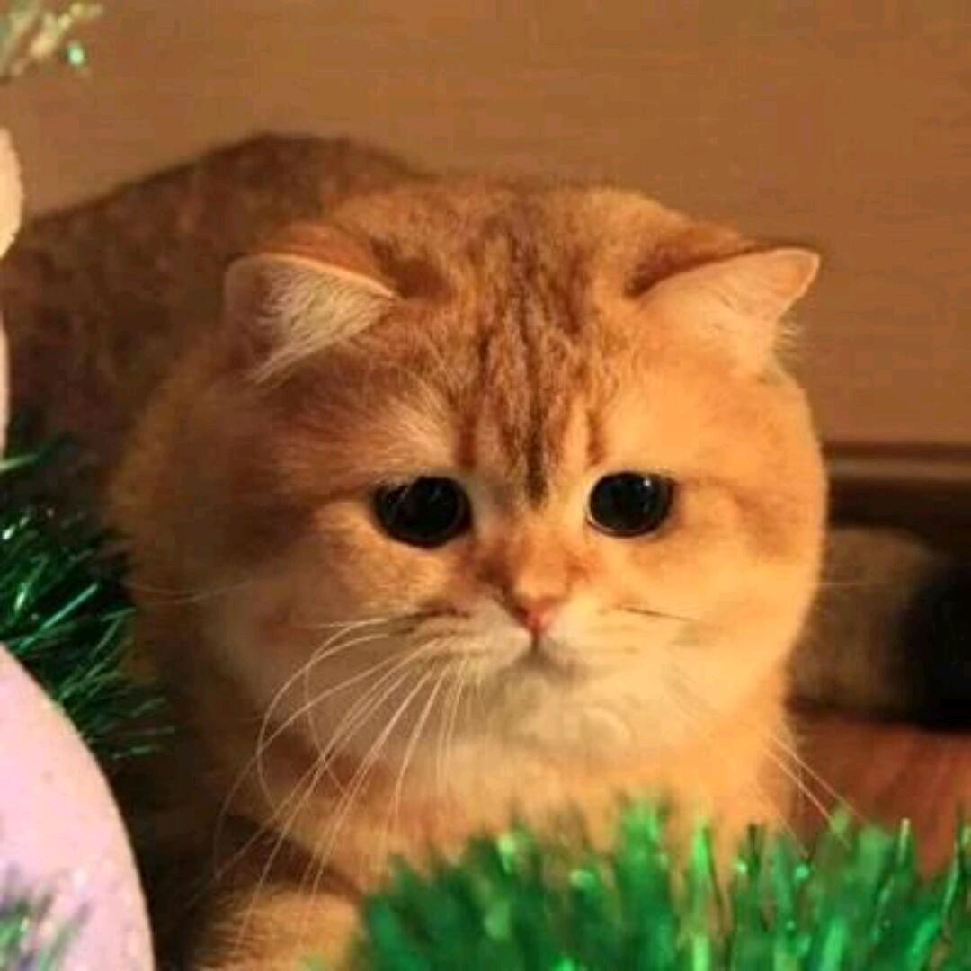 又活过一天