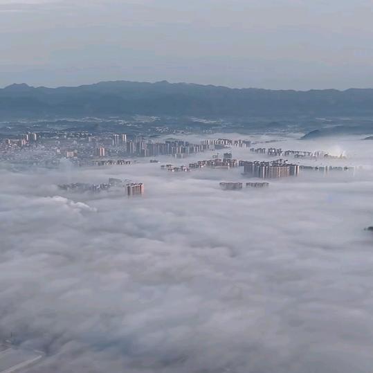 小辫子哥（白漂号）