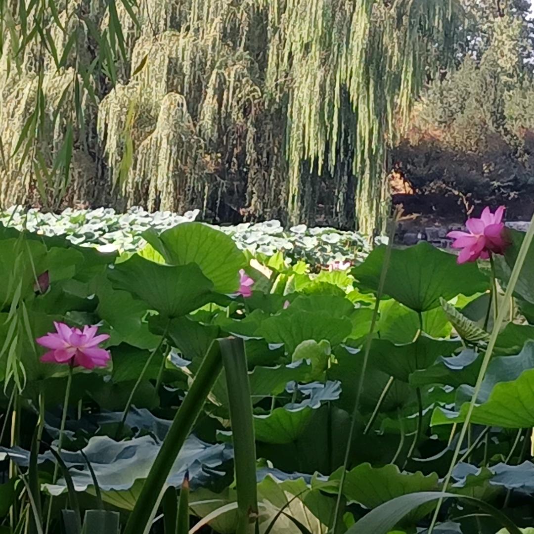 润润
