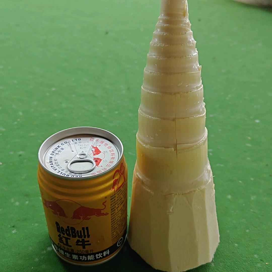 辛耕麻竹