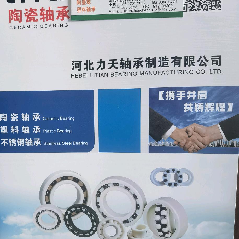 河北陶瓷轴承厂家