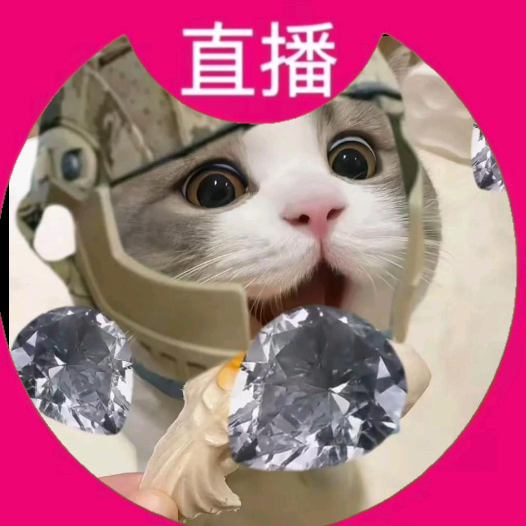 星辰三角洲捡破烂大王