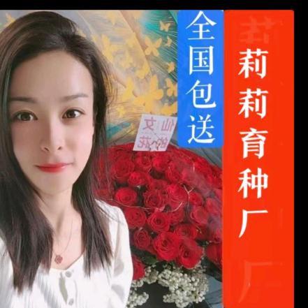 莉莉育种厂🚩湖北恩施（收徒）