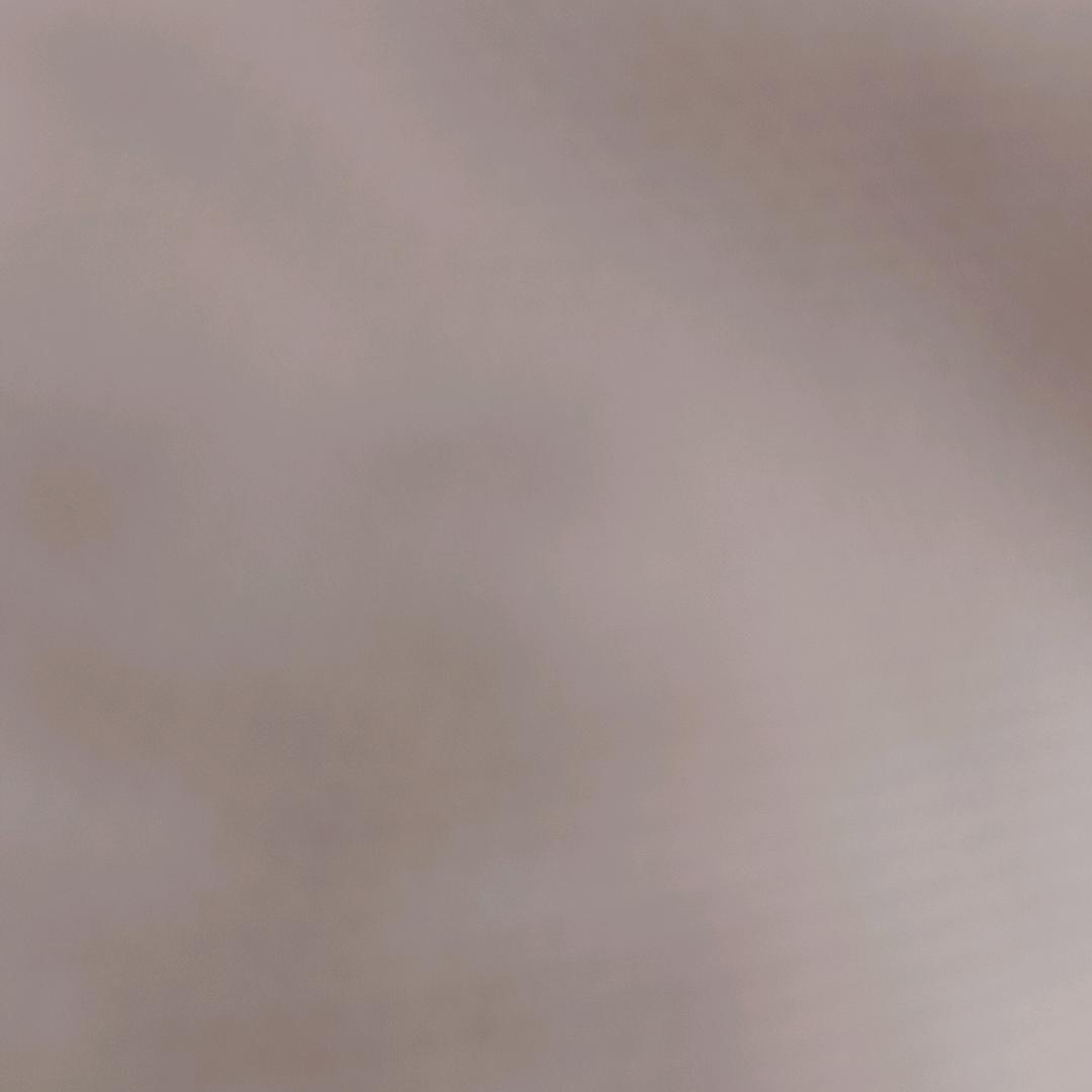 稷