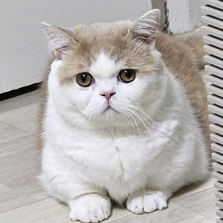 事必归正