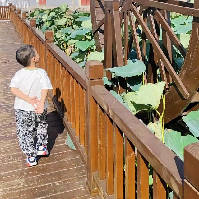 慧心(*˘︶˘*).｡.:*♡