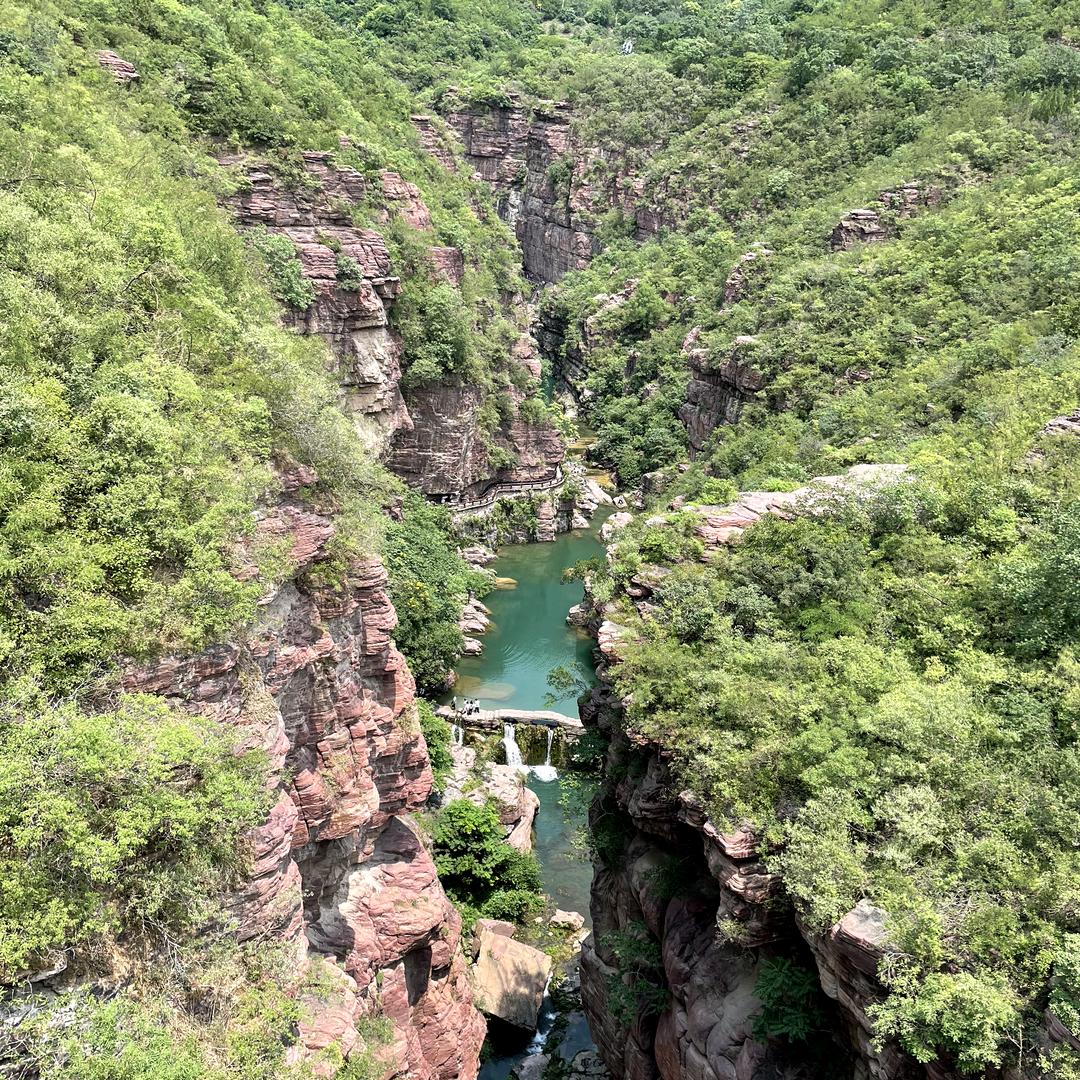 魏大哥