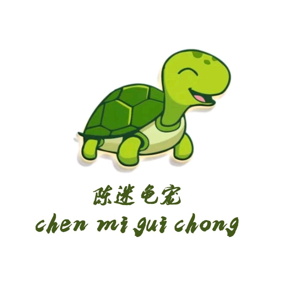 陈迷龟宠