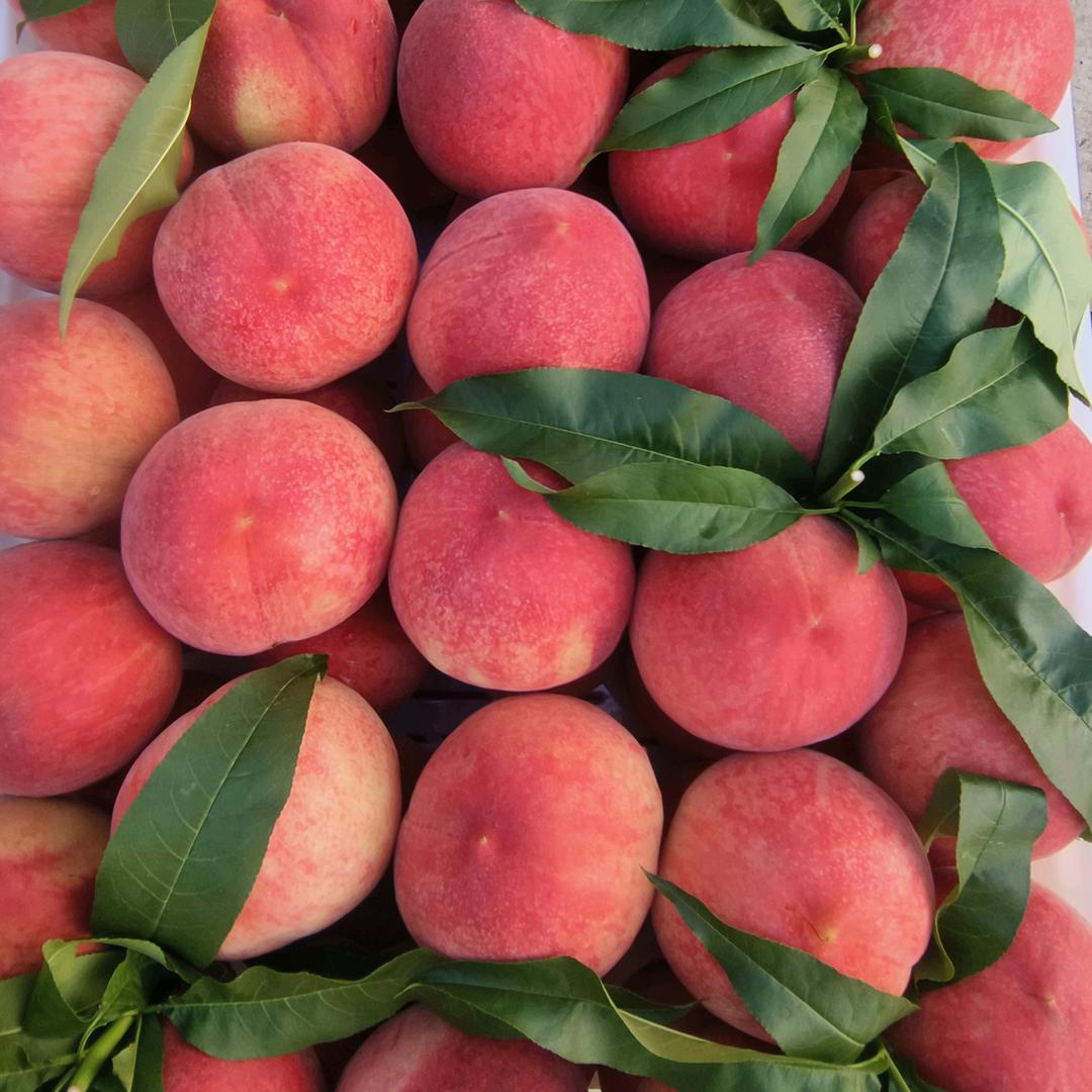 陪月亮🌙看星星⭐