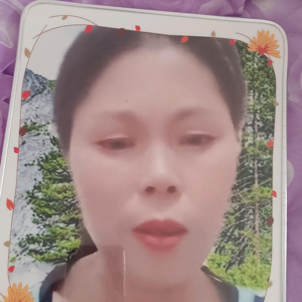 菊姐