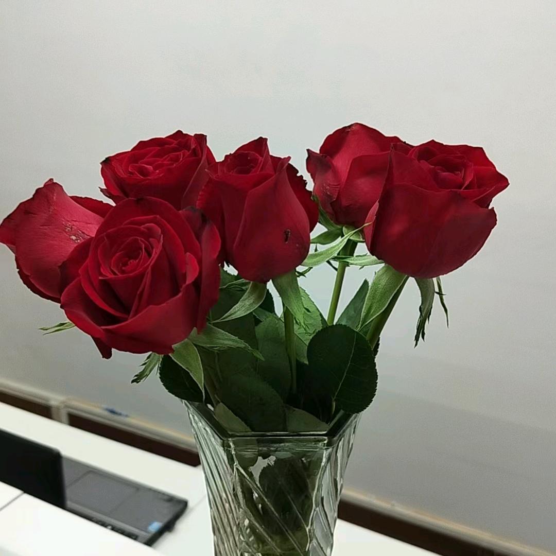 茂名市鑫润家政服务中心