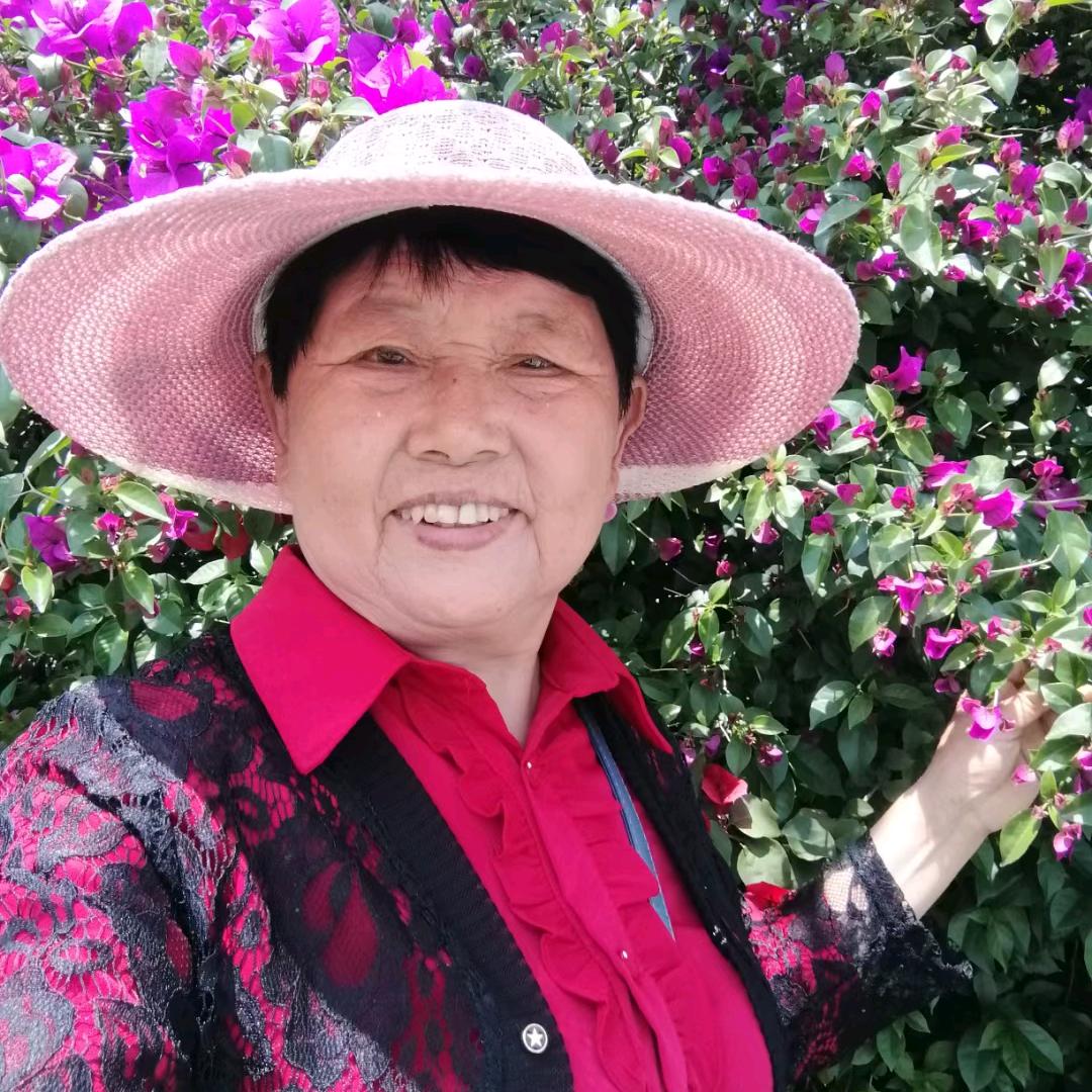 退休老太太