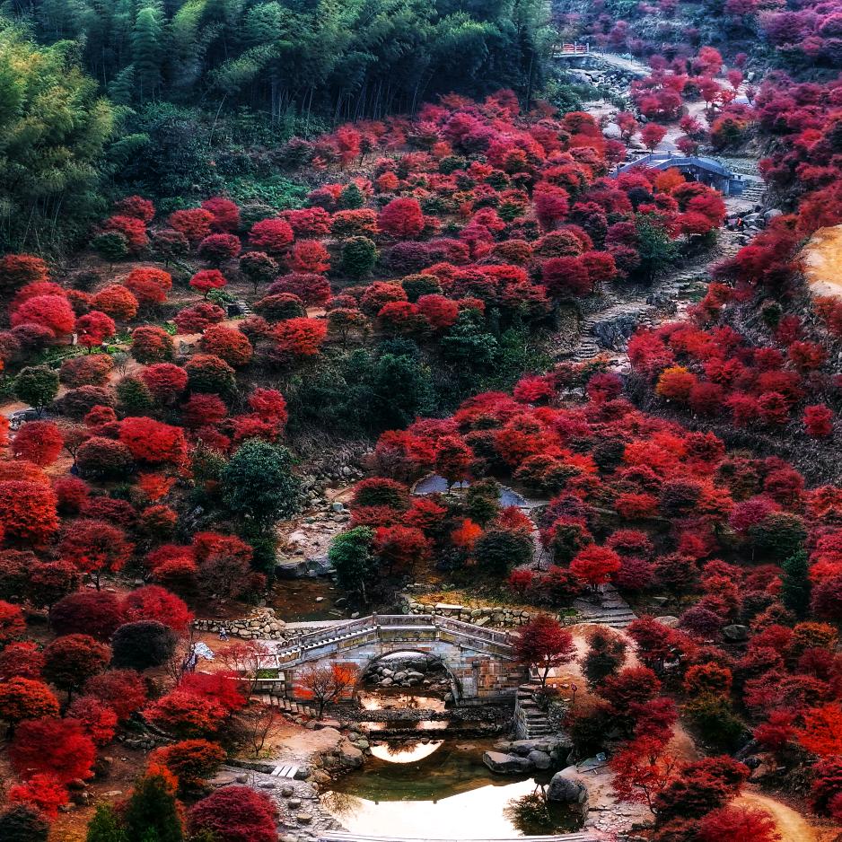 竹色溪下绿，荷花镜里香 （拒私聊拒合拍）