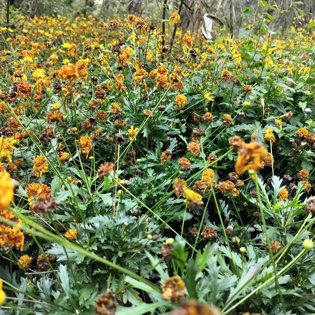 冬哥哥：人心向善，人心不傻