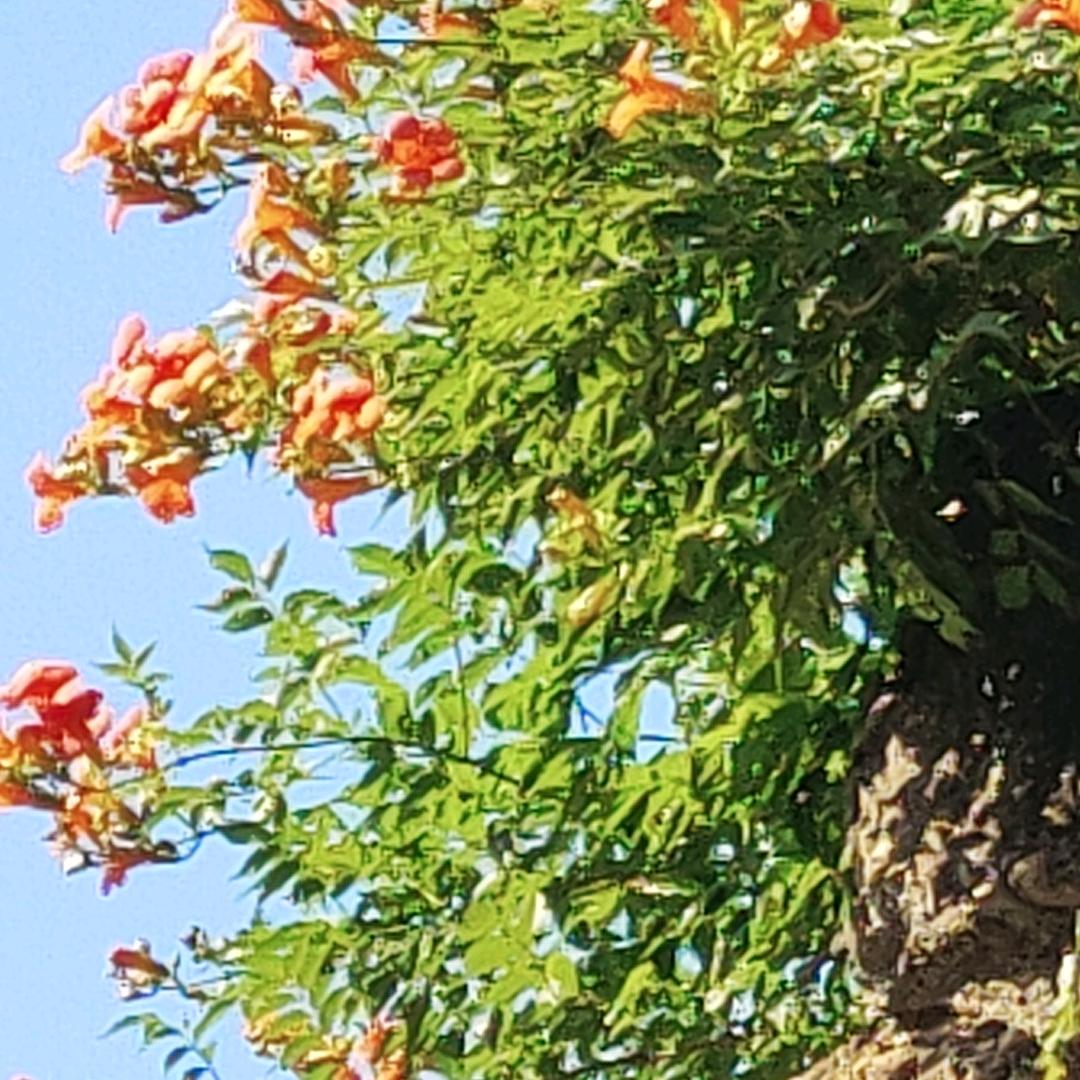 🙂芝麻开门
