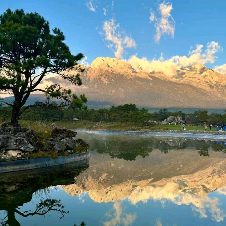 晚风轻拂的落叶