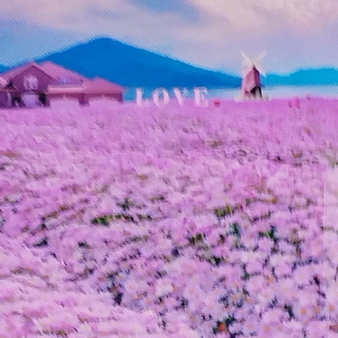 蓝天316