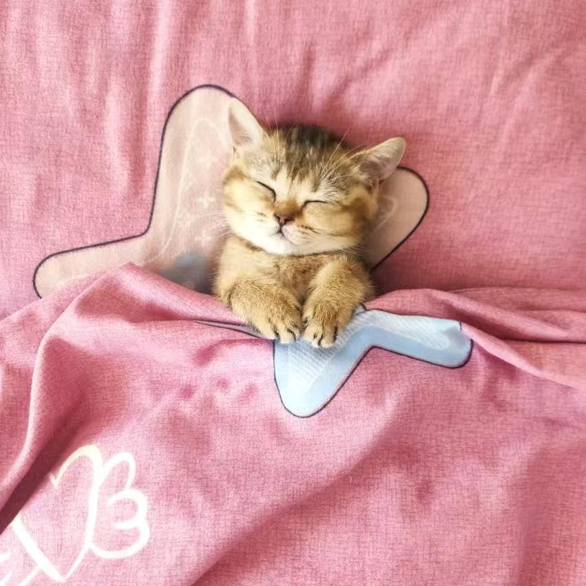 我想去🚞🚃🚃🚃💨