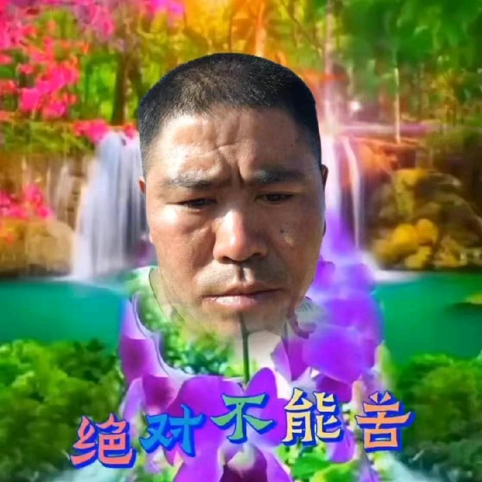 年年有月月红