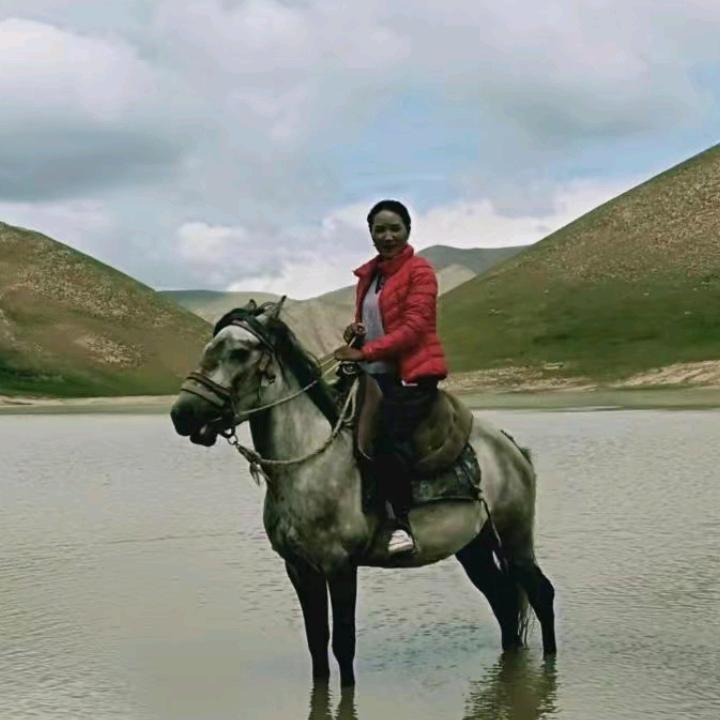 幸福的一家