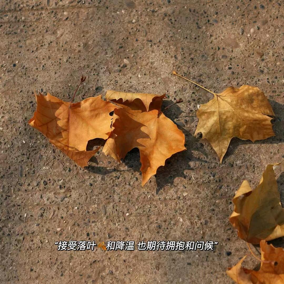 🥳大大大大珂妮…