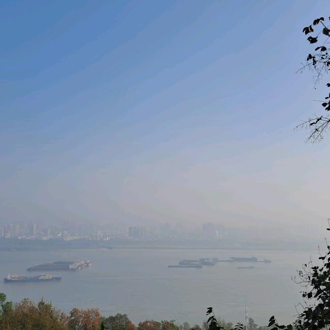小小魏爸爸