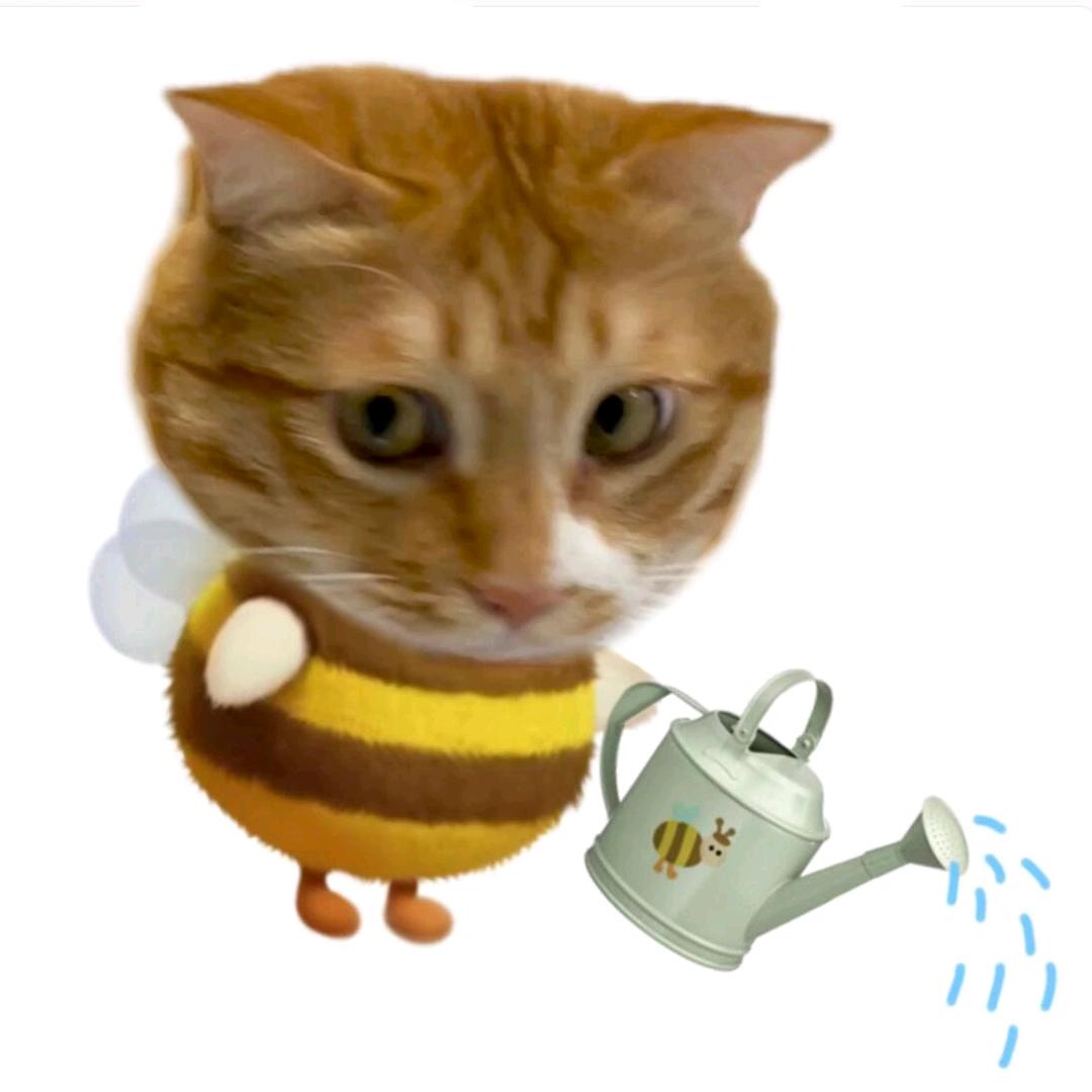 乐仔の猫meme