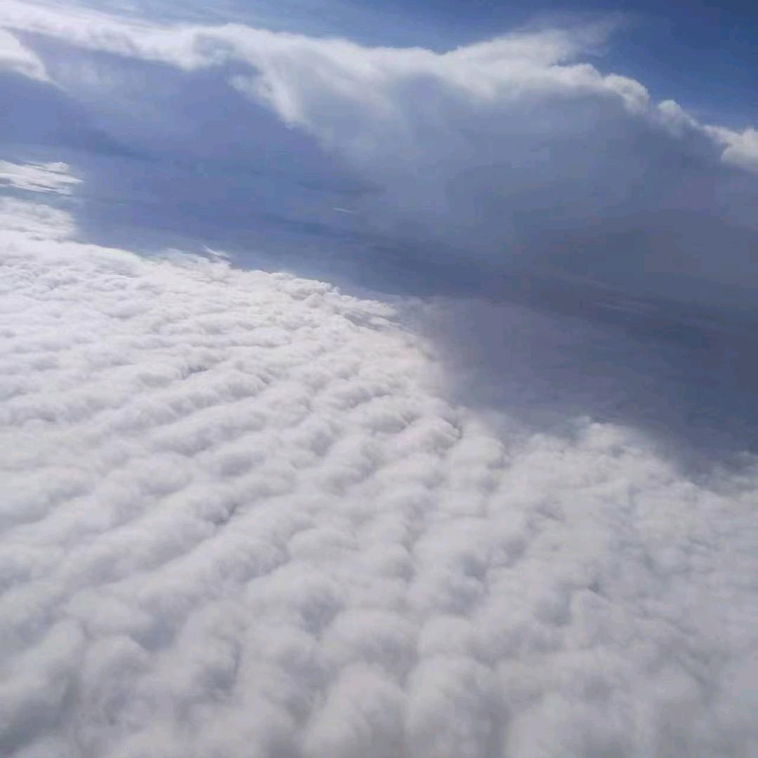 一次不忠 终身不用