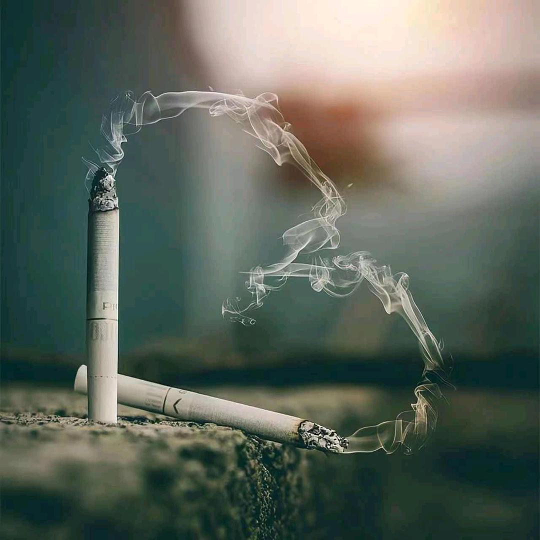 为爱停留