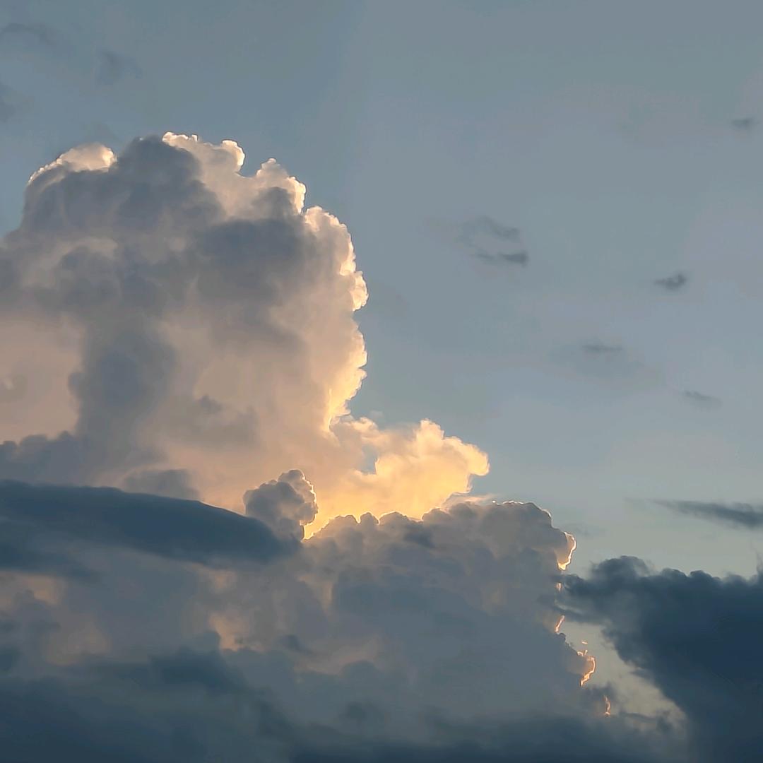 🈚️֟ 名֟  之 辈