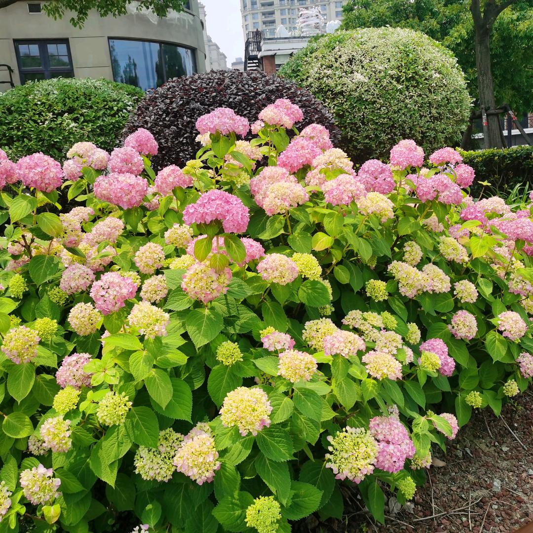~木子李~