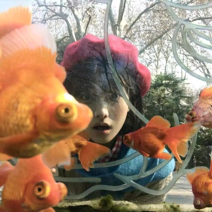 桐伊
