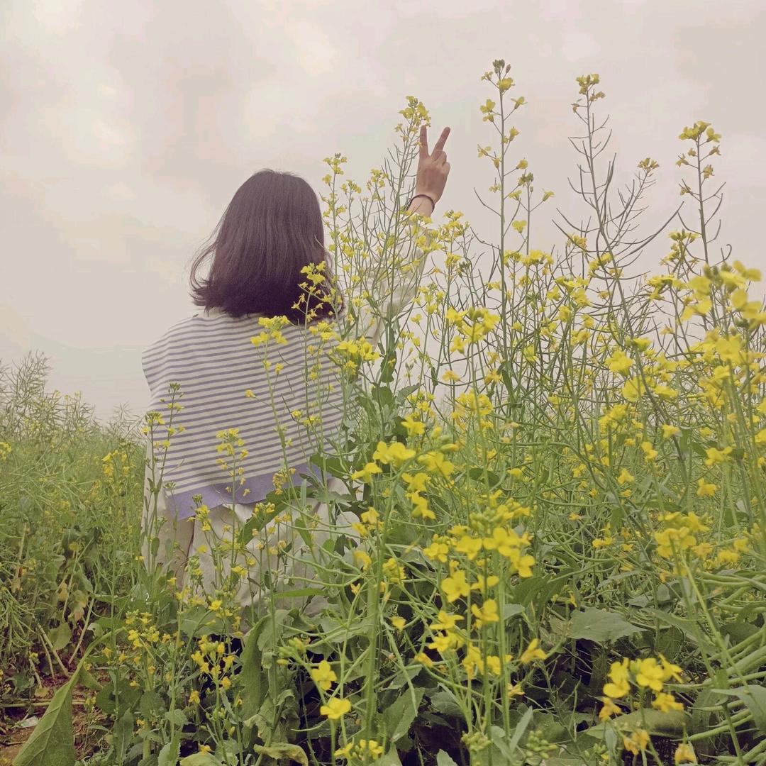 ঞ🍒兜里半颗糖🍬꧔࿐ᩚ