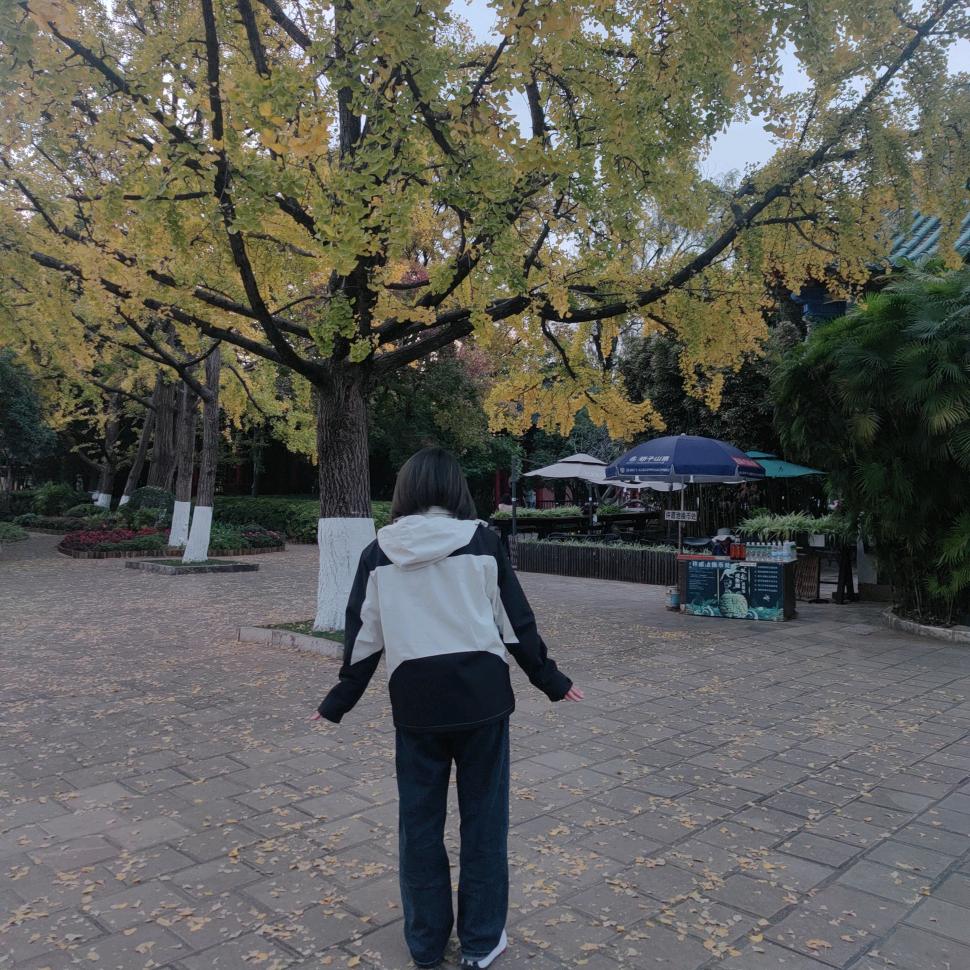 橙子爱吃糯米饭