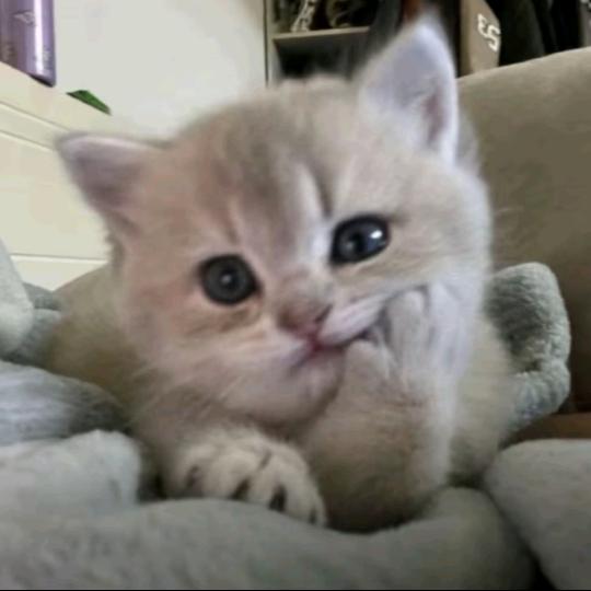 𝓼𝓾𝓷𝓼𝓮𝓽