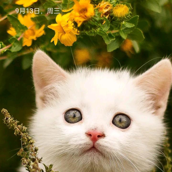 一起合拍《龙凤冰心》