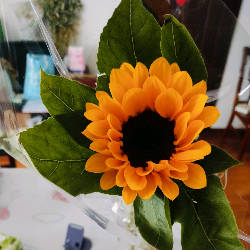 原(ง •̀_•́)ง来