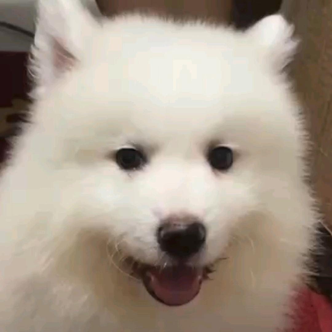 努力奋斗