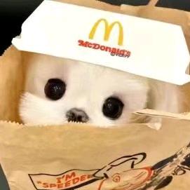 小粥.（实习打卡）