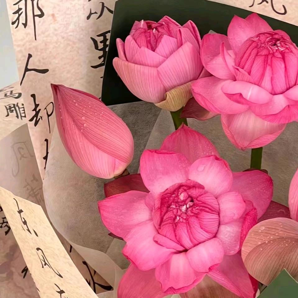 -幸运女神-