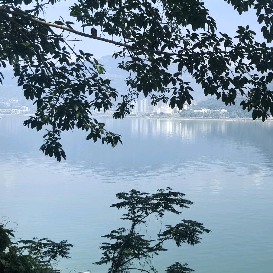 走肖是闺蜜。