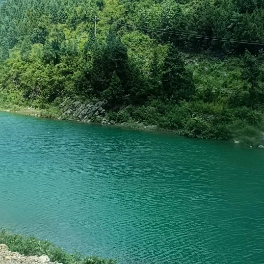 忘记过去的一切，从新开始，加油！