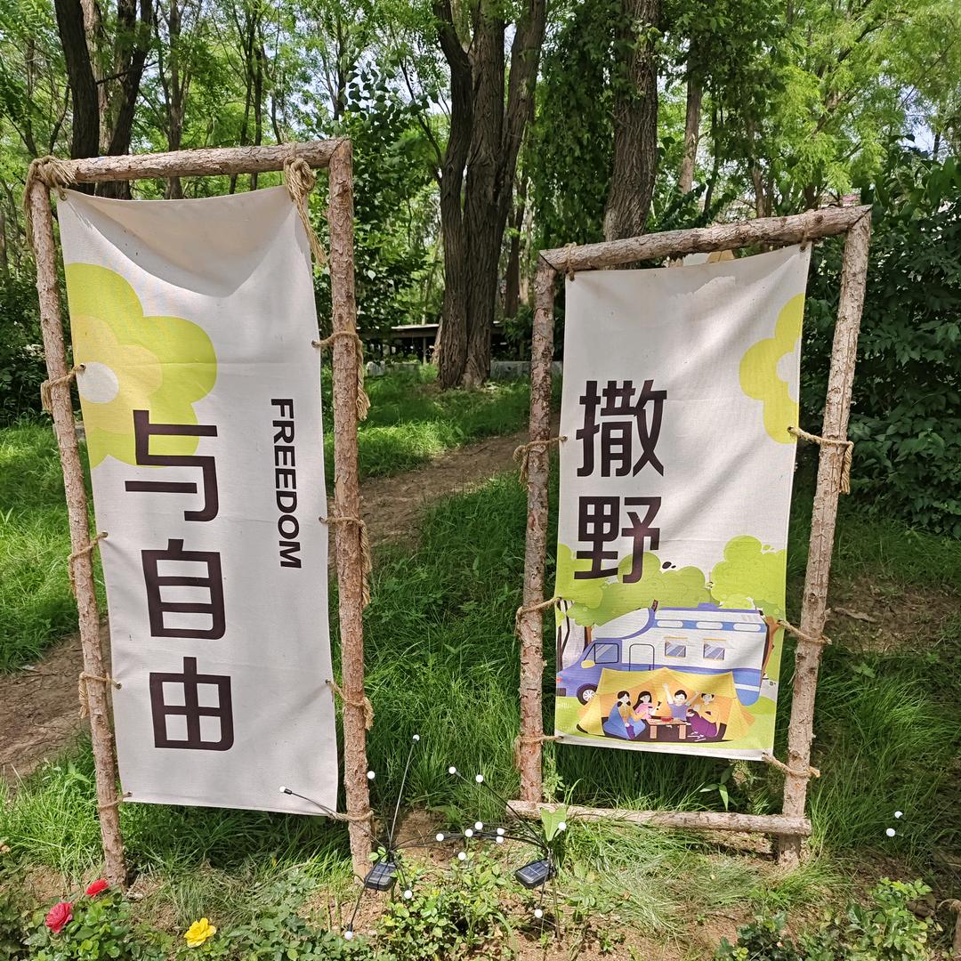 愿赌服输